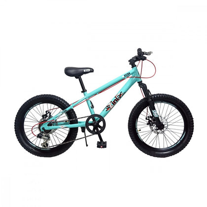 BIKES KIDS